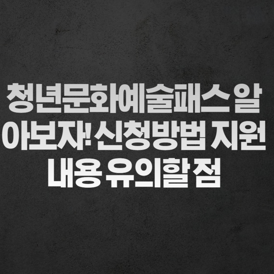 청년문화예술패스 알아보자! 신청방법 지원내용 유의할 점 청년문화예술패스 알아보자! 신청방법 지원내용 유의할 점