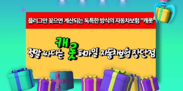 싸다고 소문난 캐롯 퍼마일 자동차 보험 차이점과 장단점