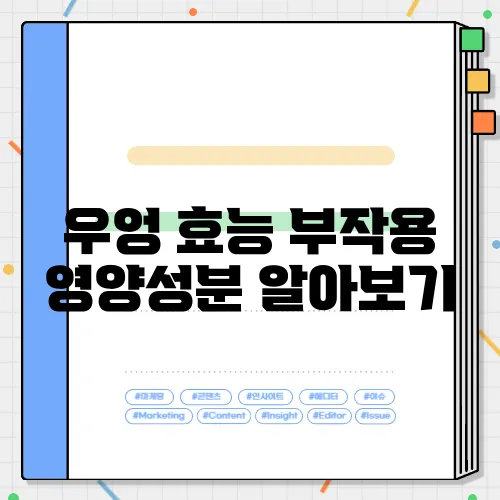 우엉 효능 부작용 영양성분 알아보기