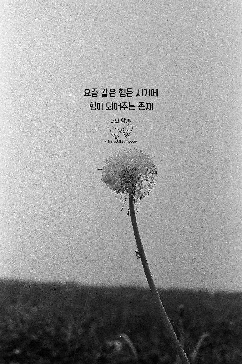 요즘 명언 : 짧고 좋은 글귀 : 짧은 명언 요즘 명언 : 짧고 좋은 글귀 : 짧은 명언