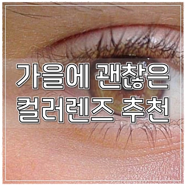  가을에 괜찮은 컬러렌즈 추천