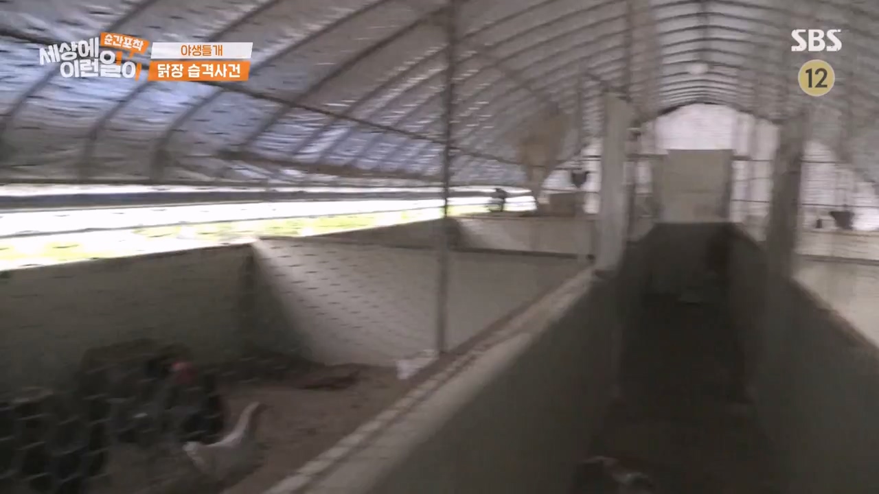 순간포착 세상에 이런일이.E1231.230604p-NEXT.mp4_20230609_202235.716.jpg