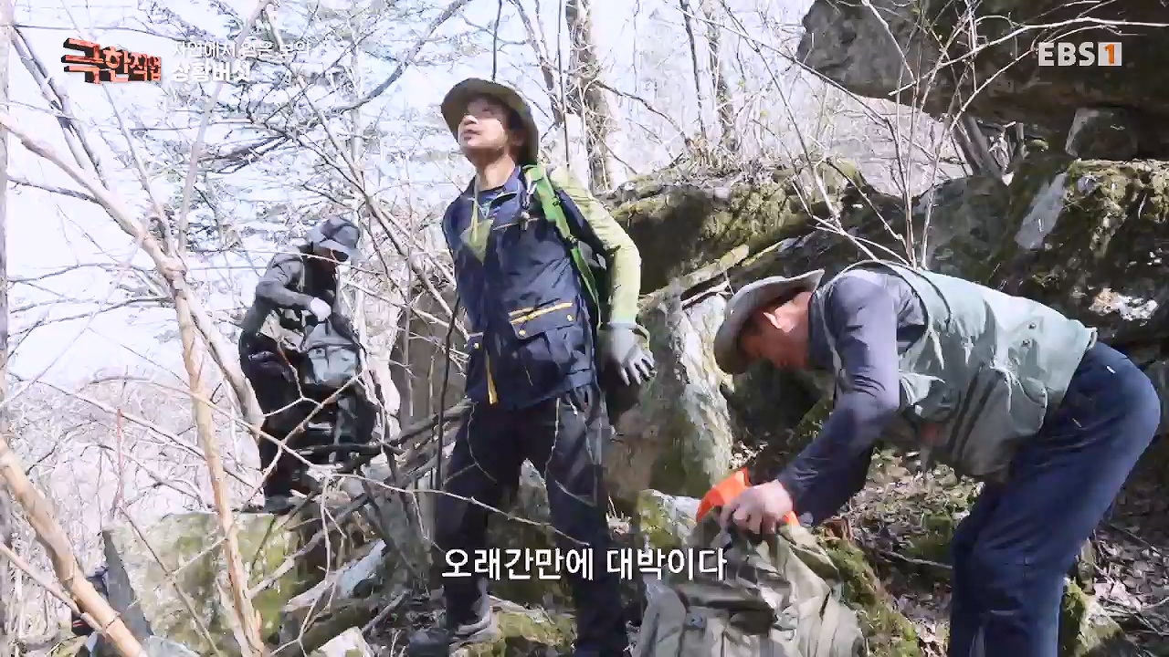 TV - 전 국민의 평생학교 EBS자연에서 얻은 보약, 상황버섯과 산나물, 쌍화차.mp4_20240615_172241.974.jpg