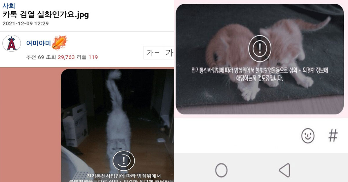  내일부터 실행되는 N번방 방지법 카톡검열 대참사