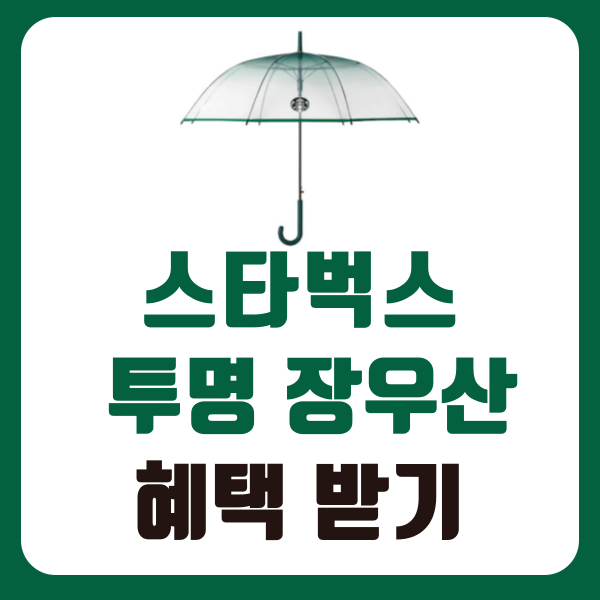 스타벅스 투명 장우산