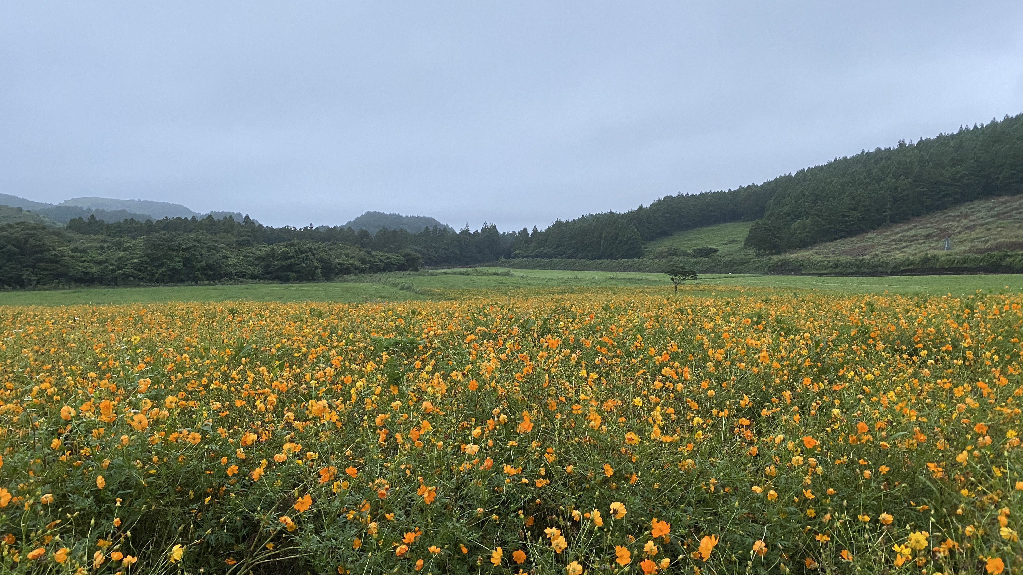  20200831_백약이오름