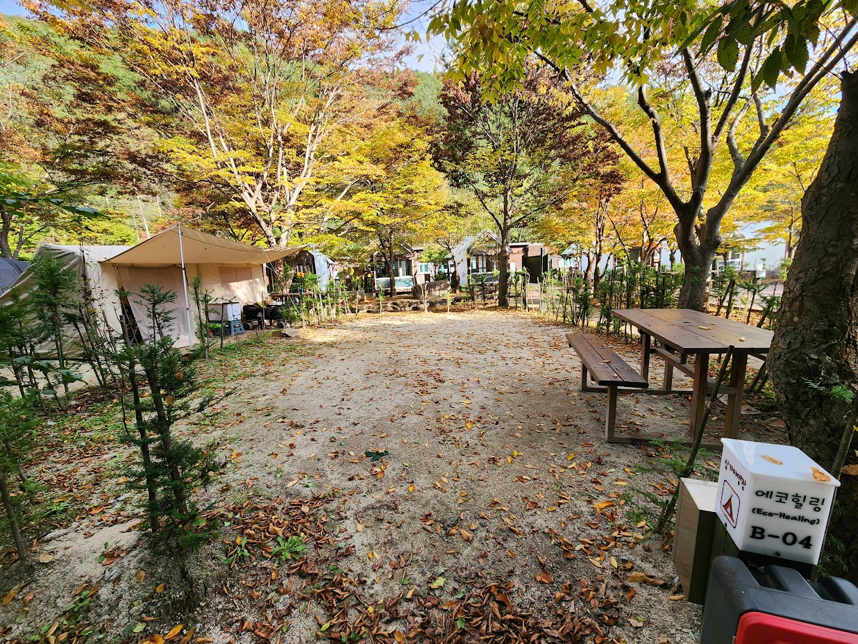 소백산국립공원 삼가야영장 이미지