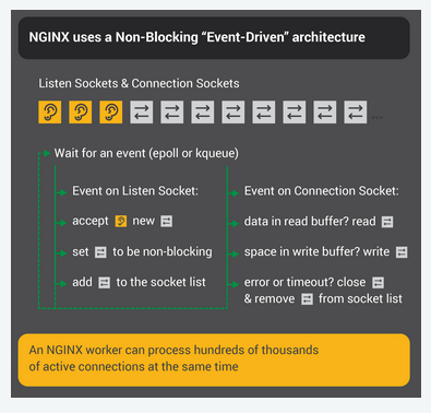  성능 개선에 성공한 Master-Slave Model (feat. Nginx,Docker)