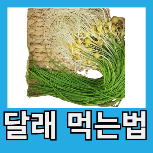 달래 먹는 방법