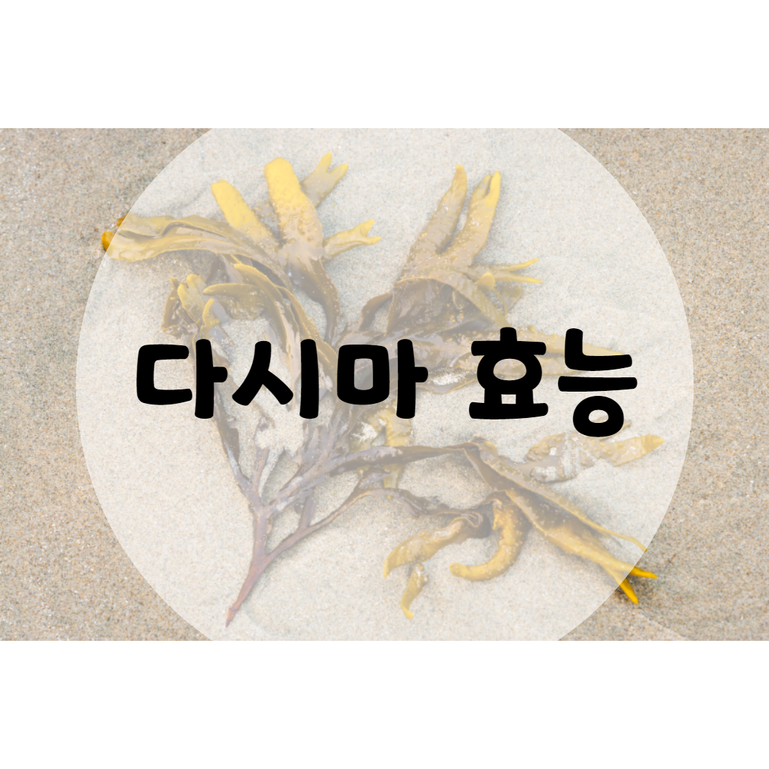  다시마효능 알고있나요