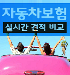  단기자동차보험 20대차보험료 경차자동차보험료 계산편합니다.