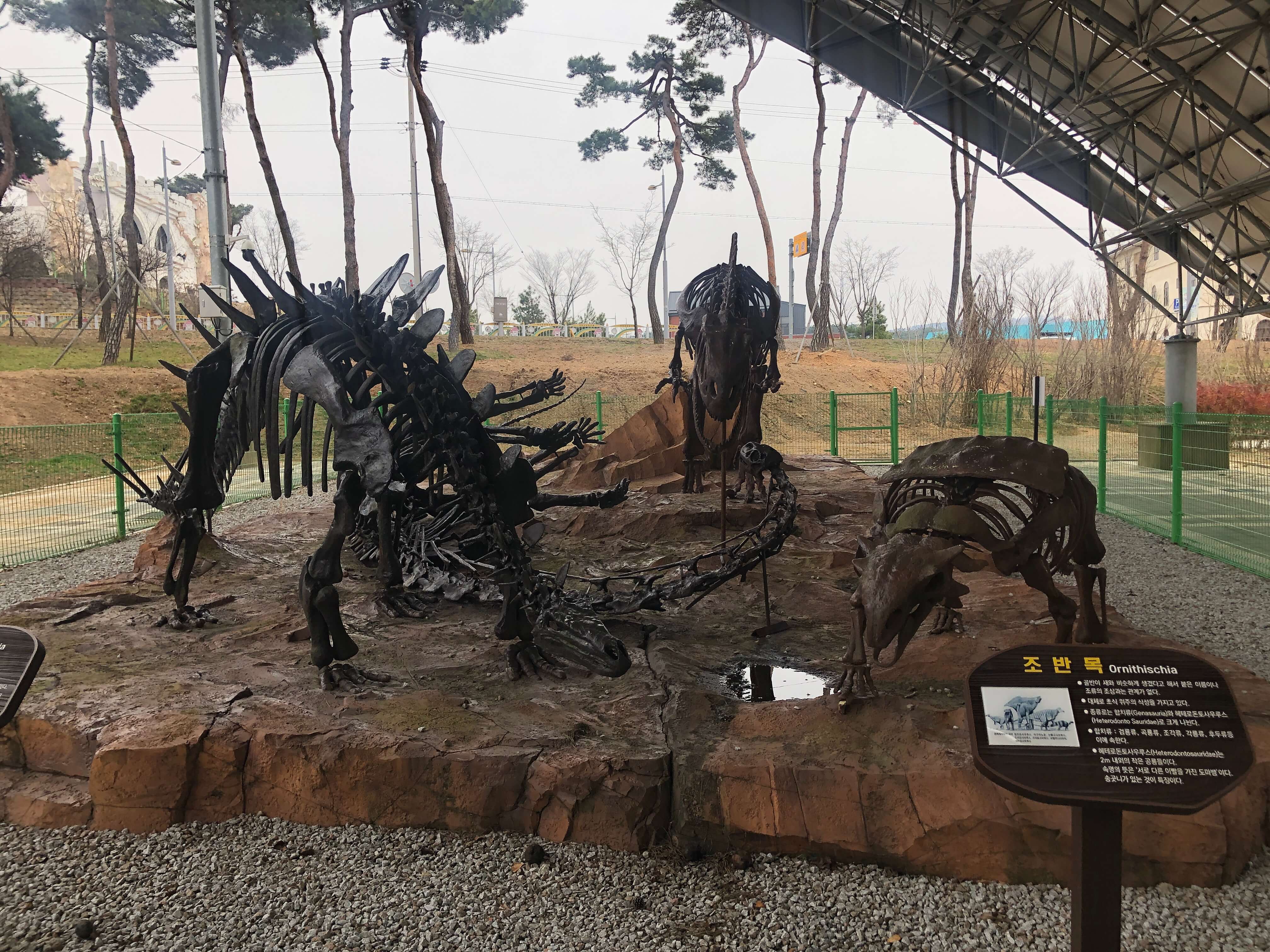 민수랜드-익산공룡테마공원 화석
