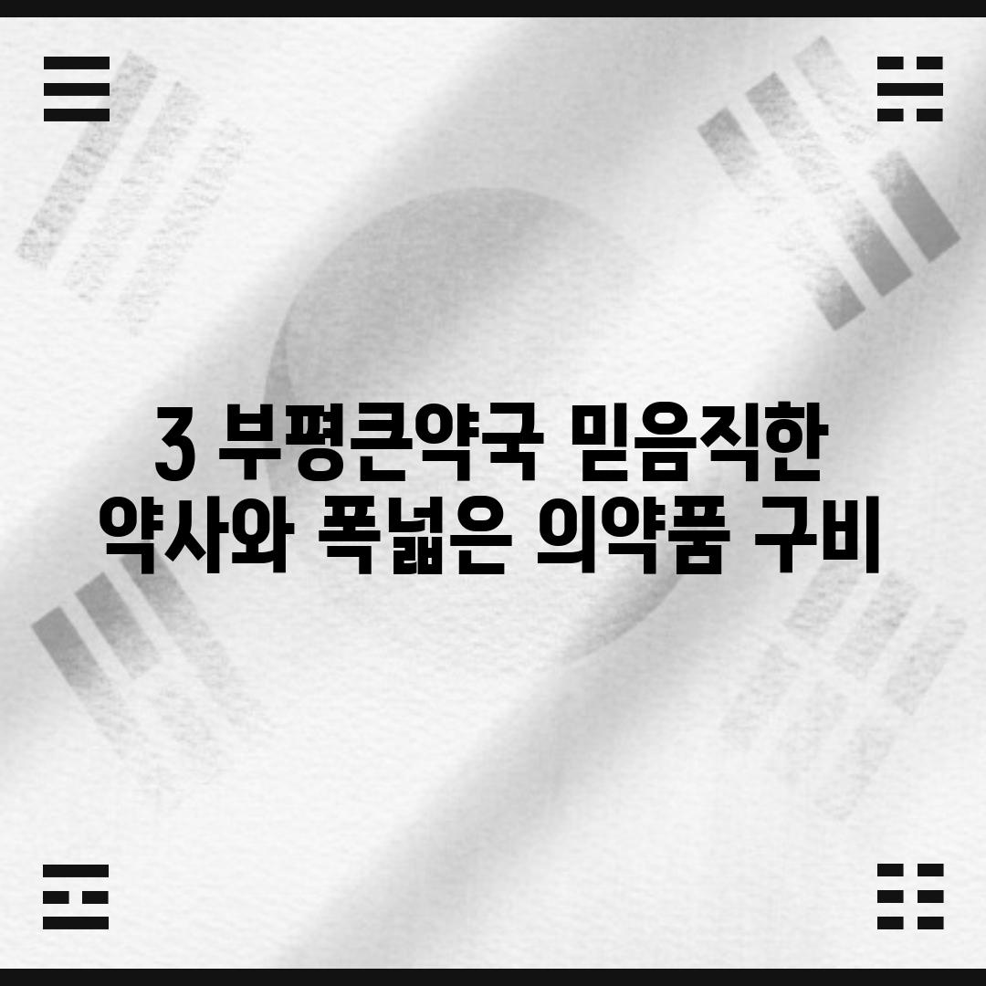 3. 부평큰약국: 믿음직한 약사와 폭넓은 의약품 구비