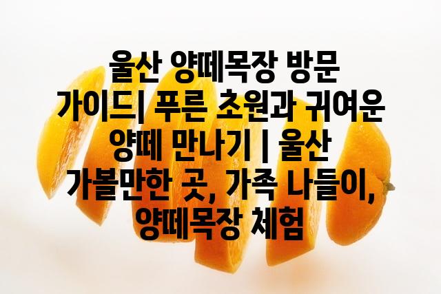 랜덤158