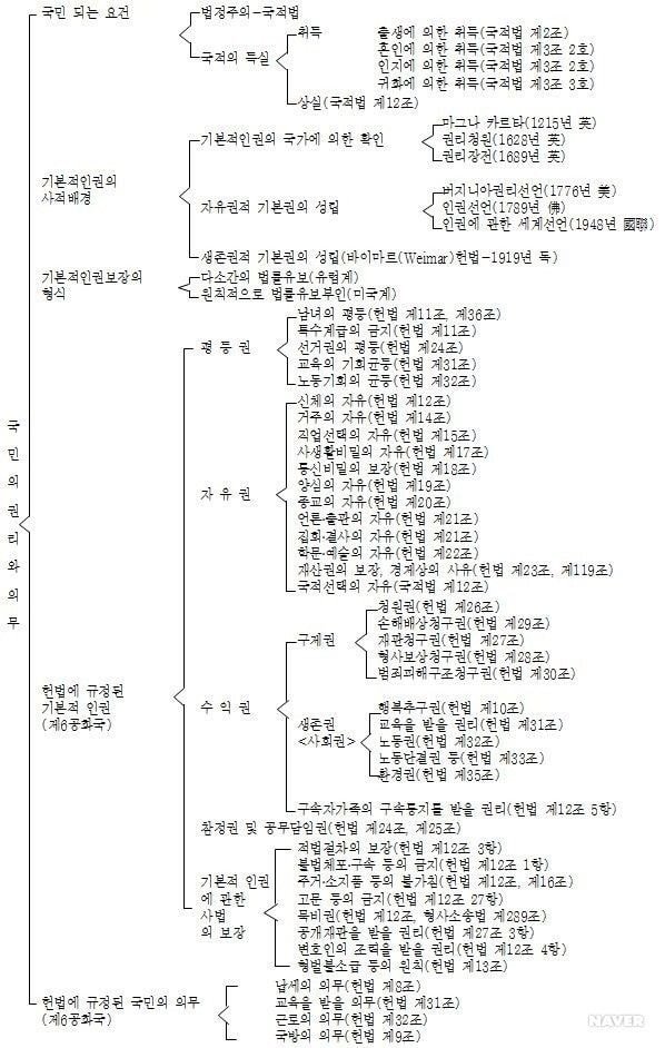  대부분의 나라가 사촌결혼 허용하는 이유