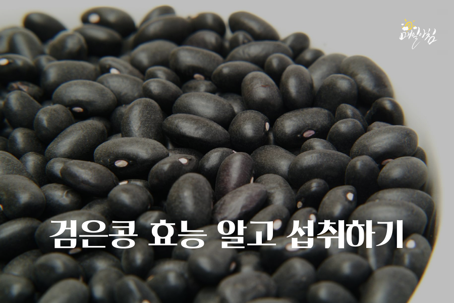  [매일아침좋은글] 검은콩 효능 알고 섭취하기 부작용 알고 먹자