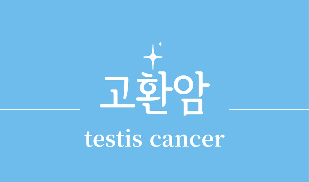 '고환암(testis cancer)'