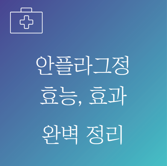 안플라그정