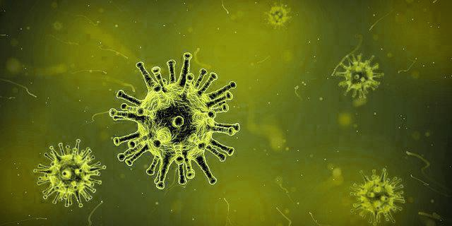  바이러스(virus)의 생물적 특성과 무생물적 특성