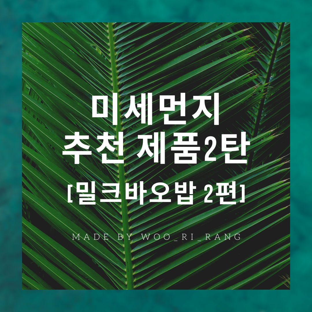 [미세먼지 2탄] 미세먼지 추천제품 / 밀크바오밥 2편 어른용