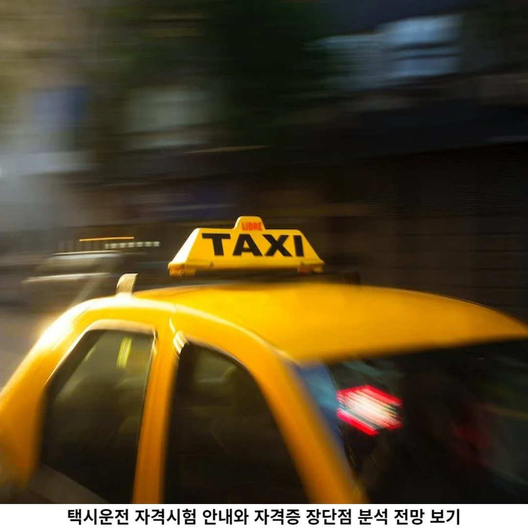 택시운전 자격 시험 전망