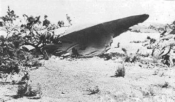 로즈웰 ufo 사건 미스터리_30