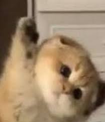 이터 이미지