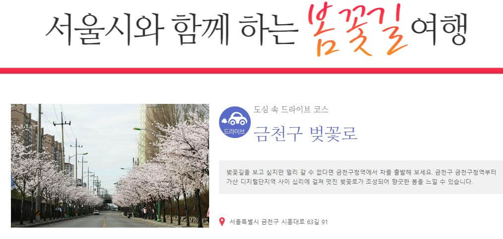 도시에서 즐기는 봄꽃 여행, 서울, 봄꽃으로 물들다. 서울 꽃길 소개