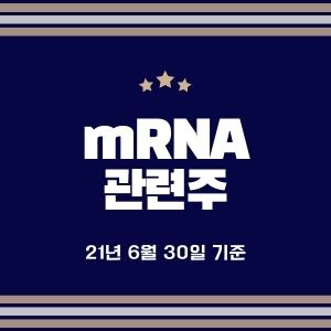  mRNA 관련주 정리 (한미약품, 에스티팜, 녹십자, 올리패스, 나이벡, 아이진, 서린바이오 등)