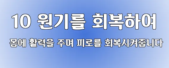  10 원기를 회복하여 몸에 활력을 주며 피로를 회복시켜줍니다