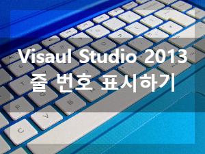  Visual Studio 2013(영문판), 코드에 줄 번호 표시하는 방법
