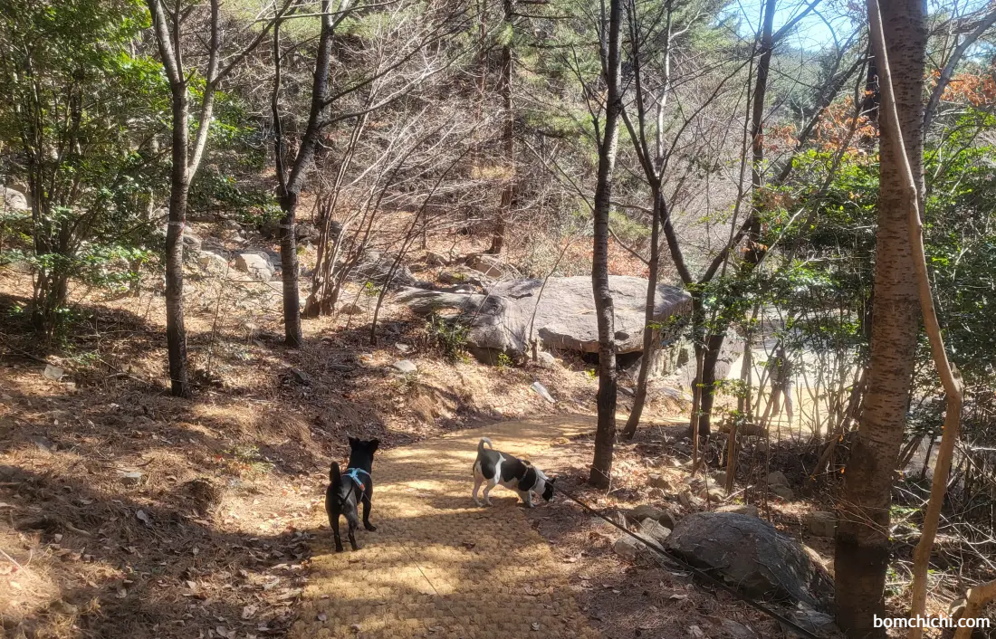 부산 해운대 장산 성불사 산책로 사진