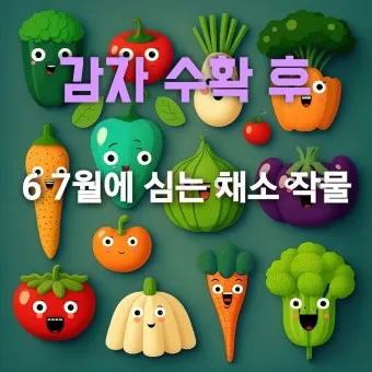 6월 제철 채소 추천 가격 영양소_15