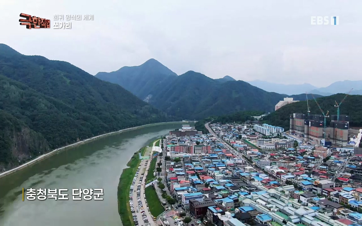 TV - 교육의 중심 EBS희귀 양식의 세계 - 참다랑어, 연어, 쏘가리.mp4_20220829_200235.869.jpg