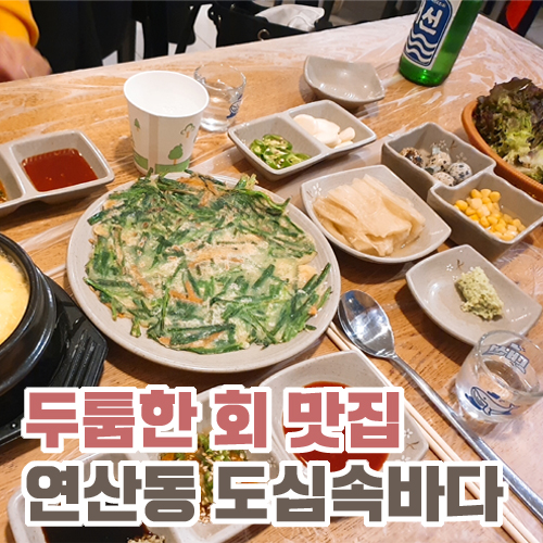  두툼한 회가 인상적인 부산 연산동 도심속바다