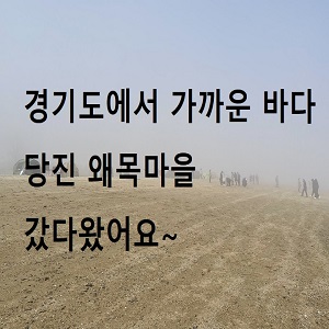  경기도에서 가까운 바다 당진 왜목마을 갔다왔어요