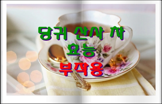  당귀 산사차 고지혈증 개선에 효과