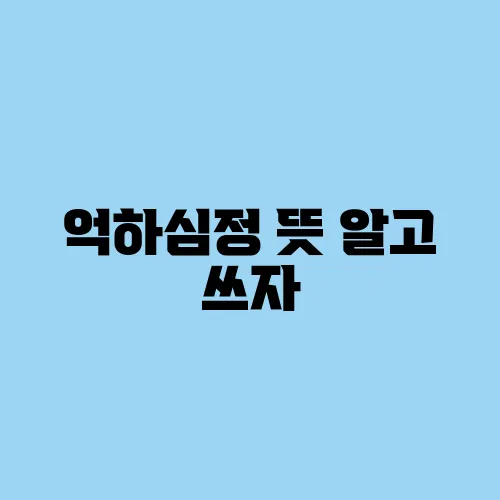 억하심정 뜻 알고 쓰자, 오해하기 쉬운 표현