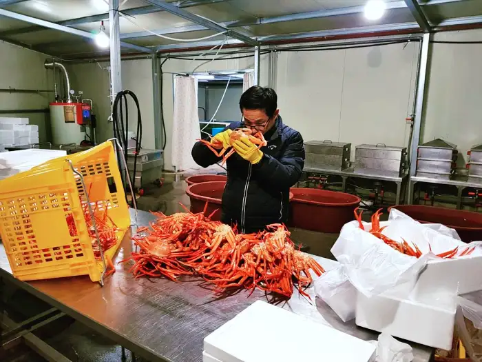 생생 정보마당 포항 구룡포 자연산 홍게 대게 맛집