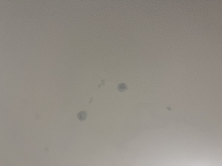 부분 인한 천장 도배하기 11