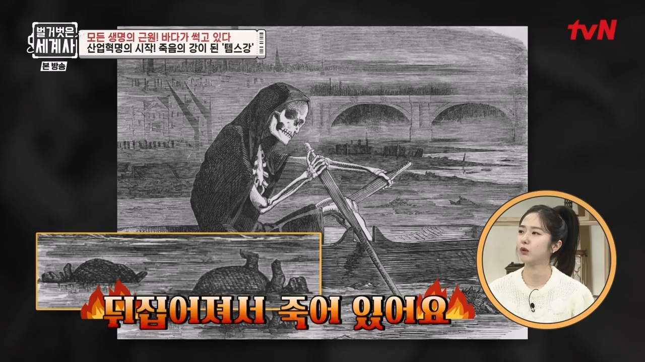벌거벗은 세계사.E90.230315p-NEXT.mp4_20230419_212531.749.jpg