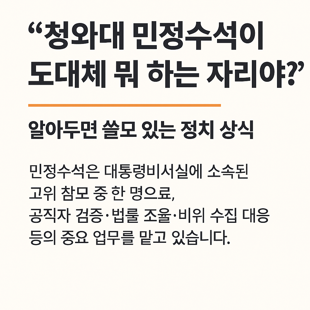 공직자 검증, 법률 조율 등 민정수석의 4대 역할 요약 이미지