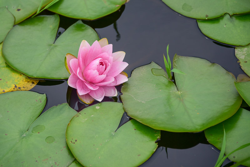 상리공원 이미지