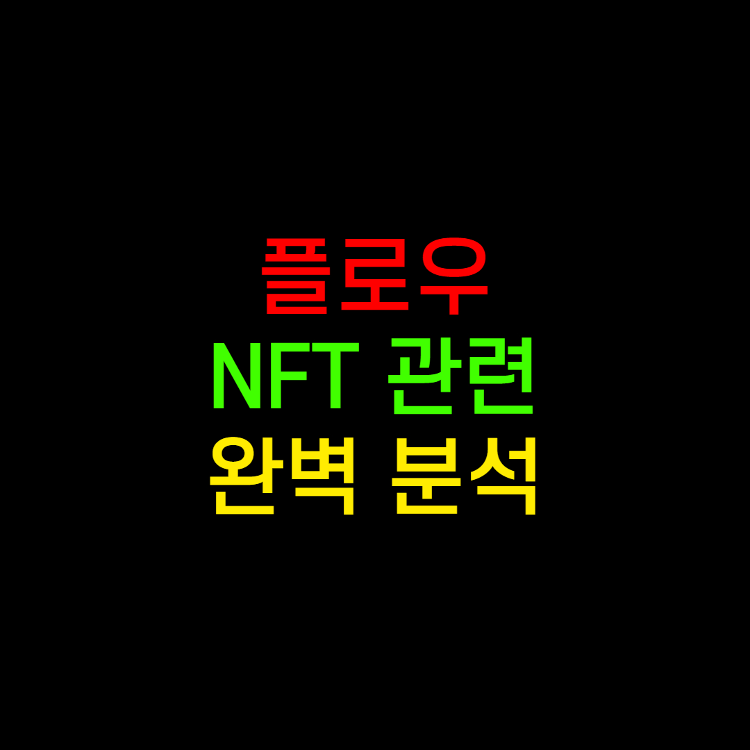  플로우 코인 NFT? 완벽 분석