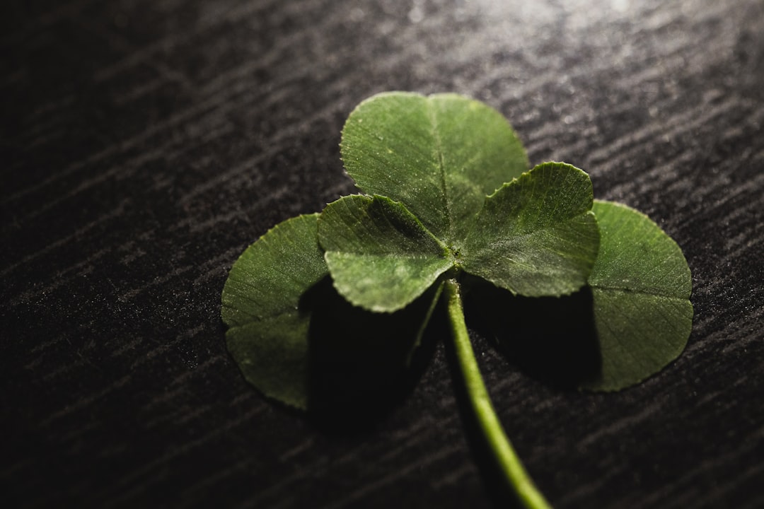 Luck