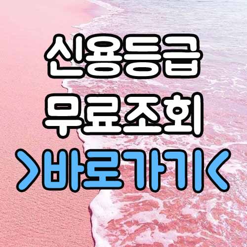  신용등급 무료조회 : 전국민 무료 방법