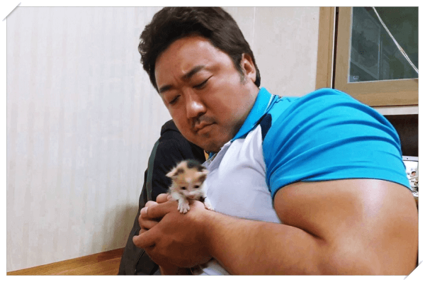  '범죄도시' 일본에서 리메이크, 마동석 영화 프로듀서로 참여