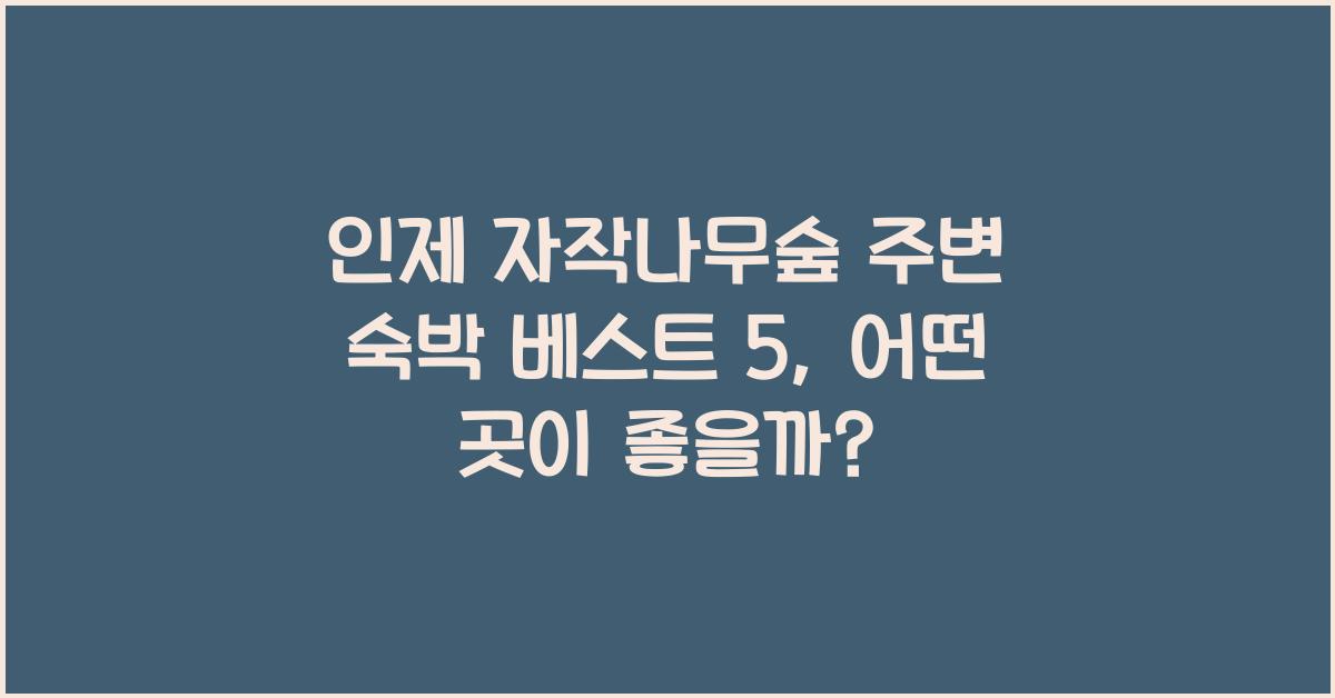인제 자작나무숲 주변 숙박 베스트 5