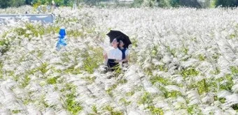 출렁이는 숲의 전설 미스터리_7