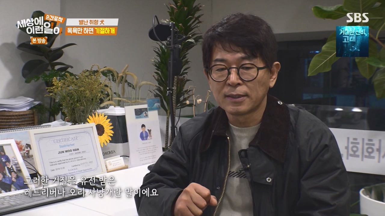 순간포착 세상에 이런일이.E1253.231126p-NEXT.mp4_20231126_160800.948.jpg